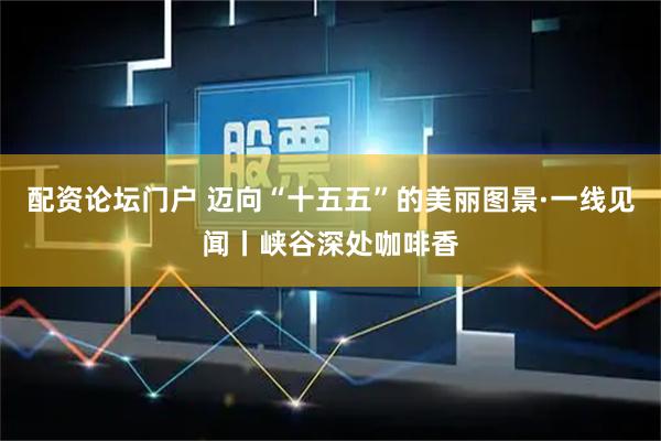 配资论坛门户 迈向“十五五”的美丽图景·一线见闻丨峡谷深处咖啡香