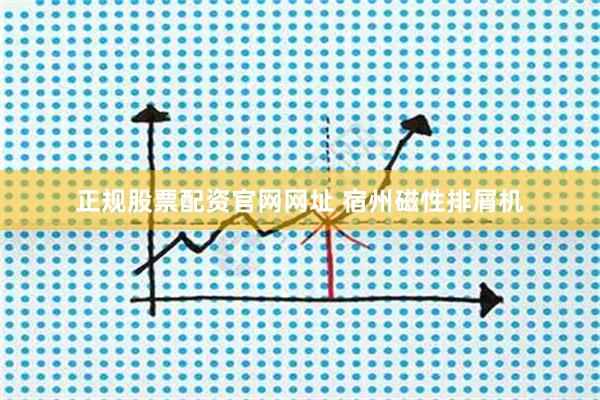 正规股票配资官网网址 宿州磁性排屑机