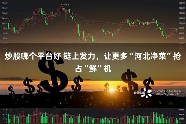 炒股哪个平台好 链上发力，让更多“河北净菜”抢占“鲜”机