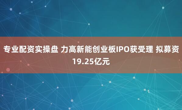 专业配资实操盘 力高新能创业板IPO获受理 拟募资19.25亿元